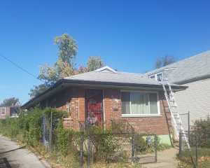 shaw-before