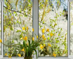 garden-windows-1