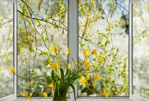 Garden Windows: Bring More Light, Fresh Air, and Beauty Into Your Home