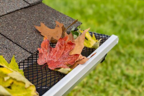 Professional Gutter Guard Installation in St. Louis, MO and IL