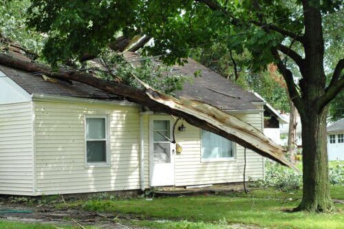 Tree Damage Roof Repair in St. Louis, MO and IL