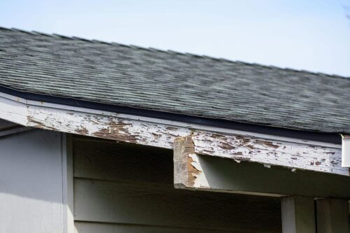 What is Roof Rot?